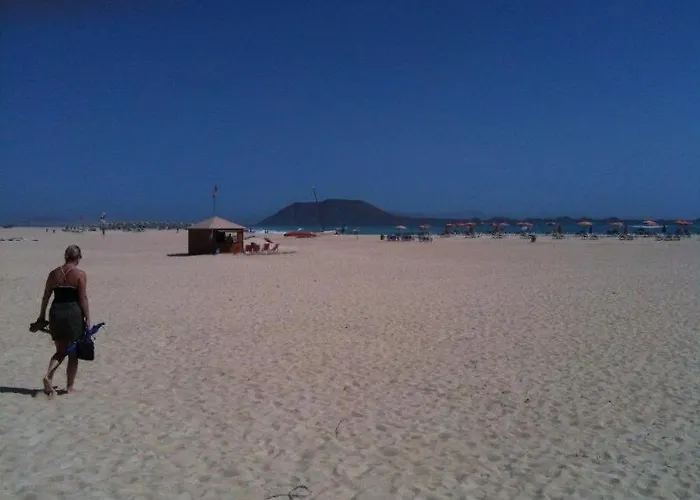 Mi Casa Su Casa * لا أوليفا